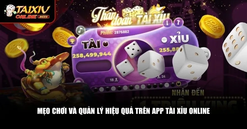 App tài xỉu online Những mẹo quan trọng dành cho mọi người chơi tài xỉu online